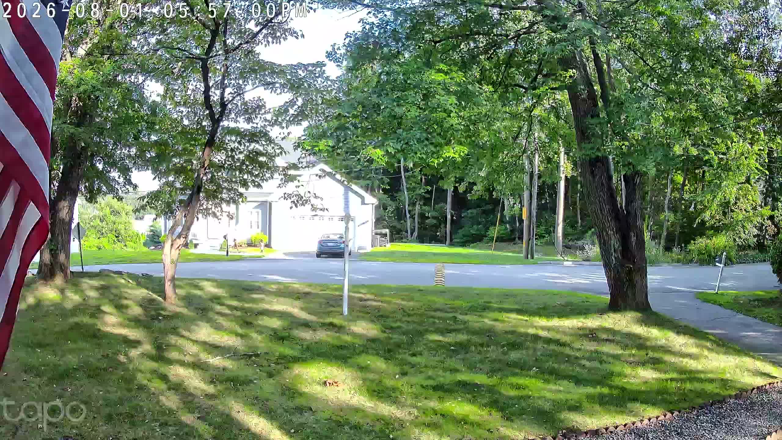 live camera image